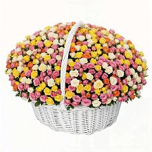 Премиум букет из: Розы в Уляпе