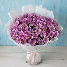 Букет цветов из:  Хризантемы в Уляпе