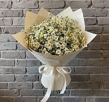 Букет цветов из:  Ромашки #REPLACE_PRED# Уляпе