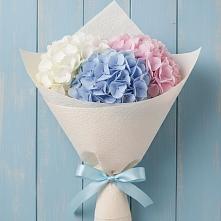 Букет цветов из:  Гортензия в Уляпе