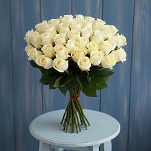 Букет 51 Белая роза Эдлесс Лав #REPLACE_PRED# Уляпе