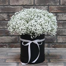 Цветочная композиция из Гипсофила в шляпной коробке в Уляпе