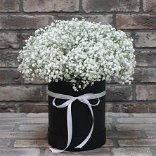 Цветочная композиция из Гипсофила в шляпной коробке в Уляпе