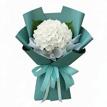 Букет цветов из:  Гортензия #REPLACE_PRED# Уляпе
